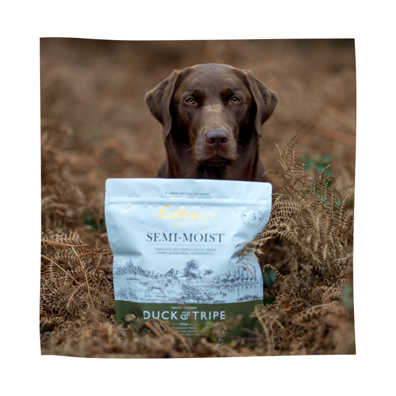 Eden 60/40 Succulent SemiMoist Duck & Tripe Eden Holistic Pet Foods