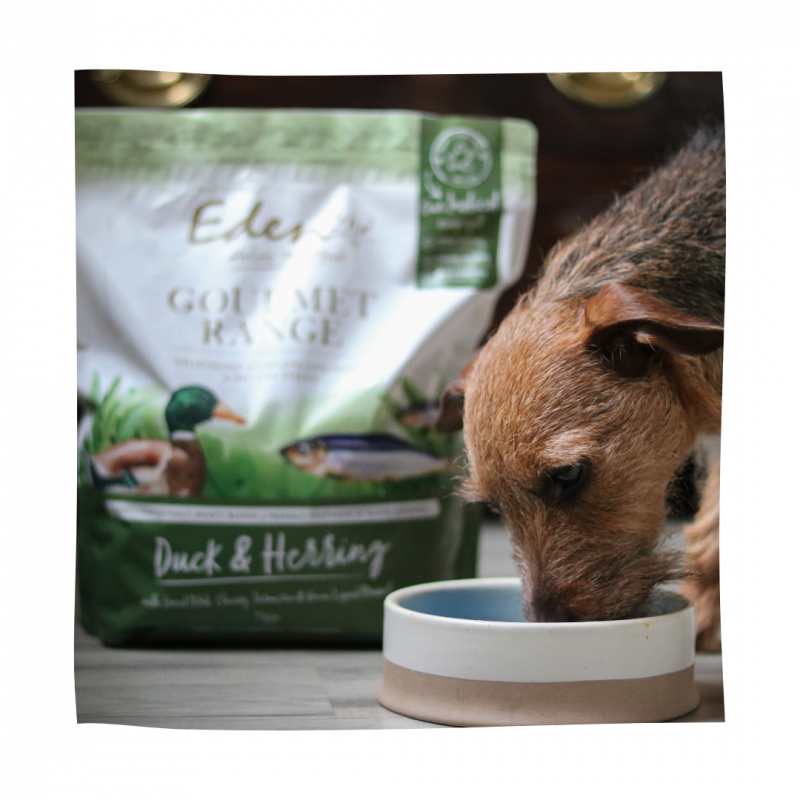 Gourmet Range Duck & Herring 2KG Eden Holistic Pet Foods