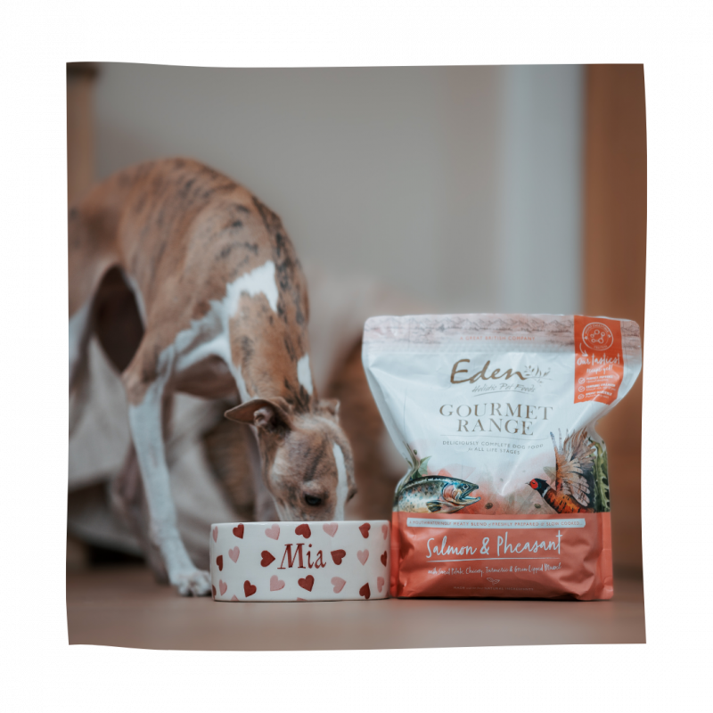 Gourmet Range Salmon & Pheasant 2KG Eden Holistic Pet Foods